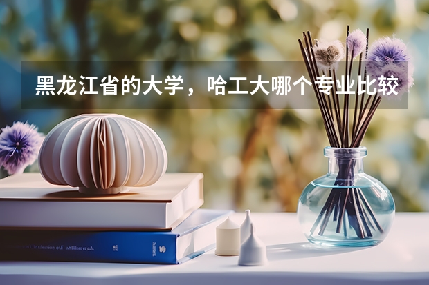 黑龙江省的大学，哈工大哪个专业比较厉害？？