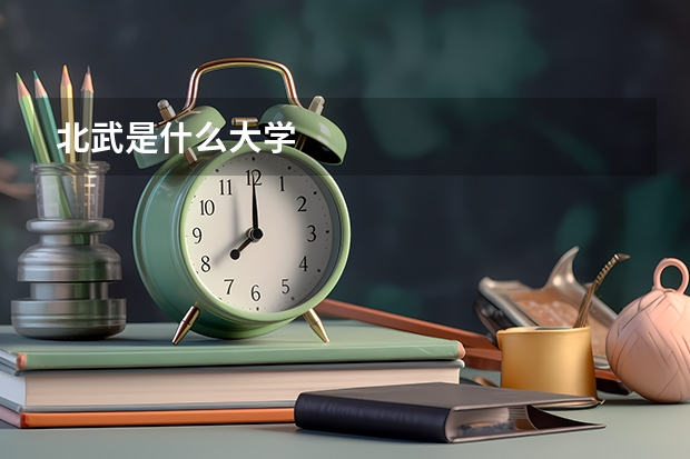 北武是什么大学