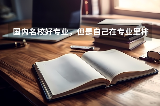 国内名校好专业,但是自己在专业里排名属于中下,想去德国留学,能去什么学校啊?学工科的