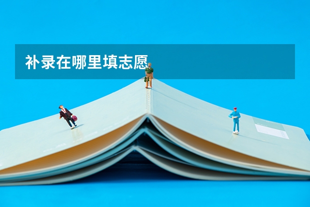 补录在哪里填志愿