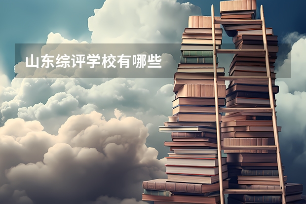 山东综评学校有哪些