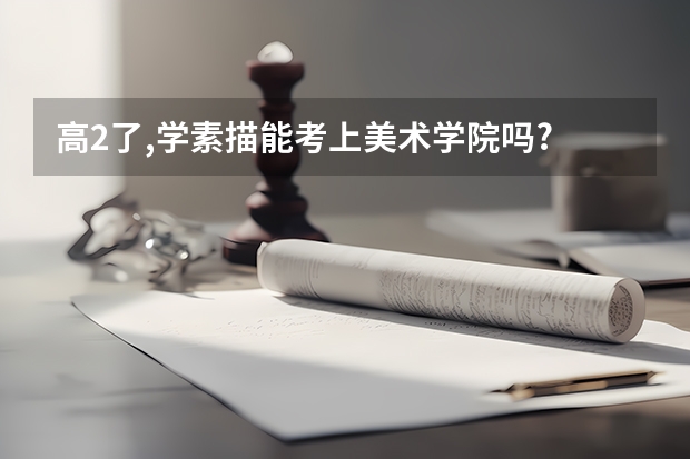 高2了,学素描能考上美术学院吗?