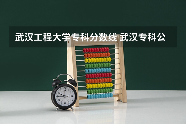 武汉工程大学专科分数线 武汉专科公办学校分数线