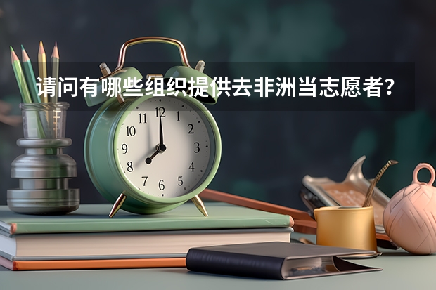 请问有哪些组织提供去非洲当志愿者?