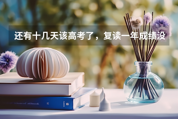 还有十几天该高考了，复读一年成绩没啥进步，很后悔，怎么办
