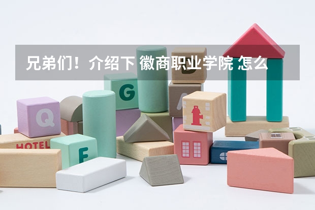 兄弟们！介绍下 徽商职业学院 怎么样！
