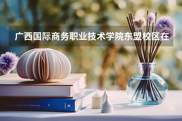 广西国际商务职业技术学院东盟校区在哪里