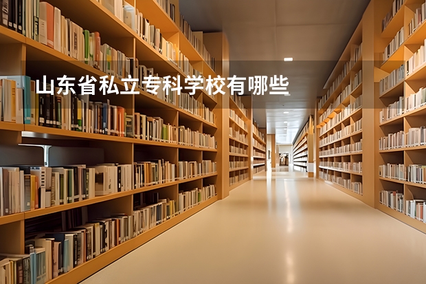 山东省私立专科学校有哪些