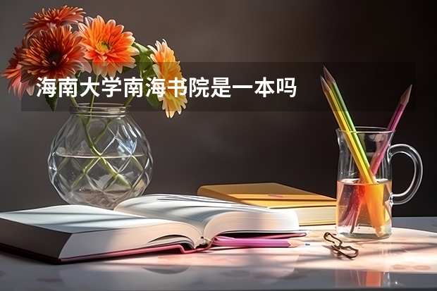 海南大学南海书院是一本吗