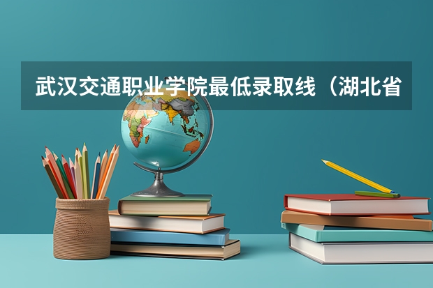 武汉交通职业学院最低录取线（湖北省各大学录取分数线）