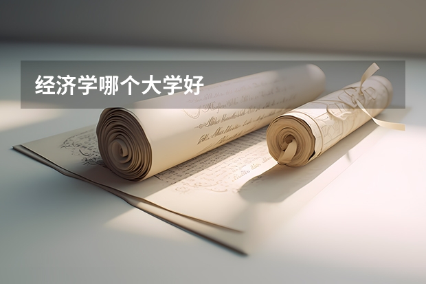 经济学哪个大学好