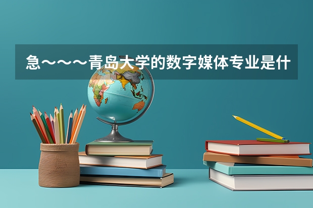 急～～～青岛大学的数字媒体专业是什么性质的？为什么在那个软件技术职业学院呢？属于那个试点本科么？