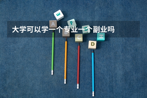 大学可以学一个专业一个副业吗