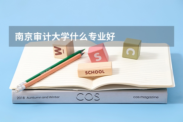 南京审计大学什么专业好