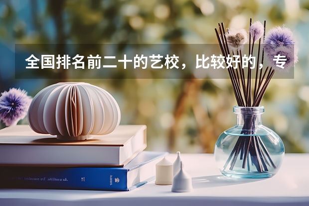 全国排名前二十的艺校，比较好的，专业性比较强的学校有哪些呀》