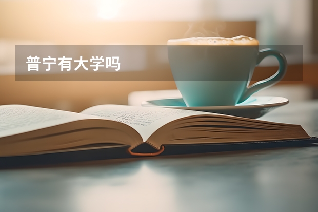 普宁有大学吗
