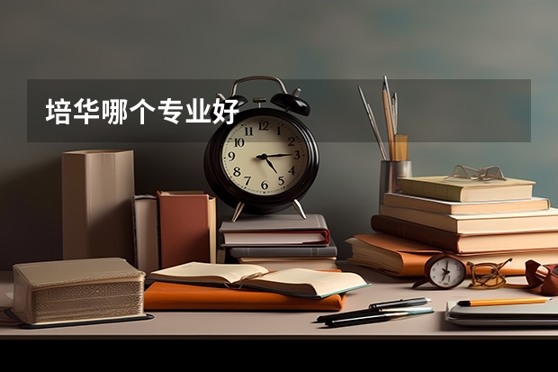 培华哪个专业好