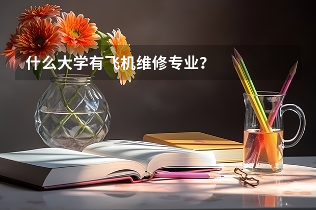 什么大学有飞机维修专业？
