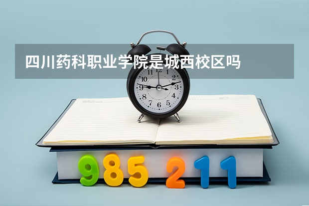 四川药科职业学院是城西校区吗