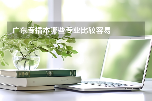 广东专插本哪些专业比较容易