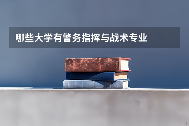 哪些大学有警务指挥与战术专业