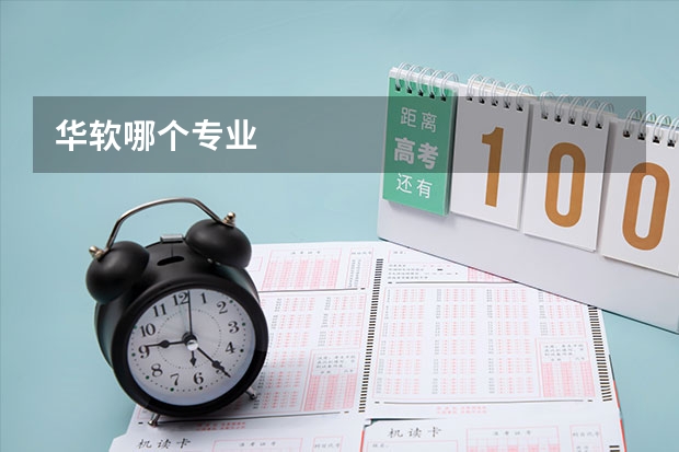 华软哪个专业