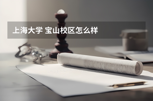 上海大学 宝山校区怎么样
