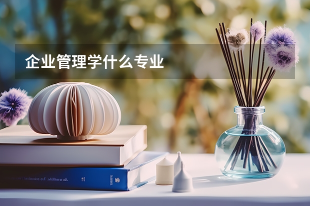 企业管理学什么专业