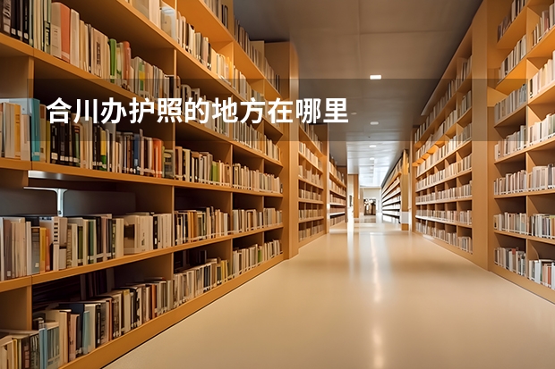 合川办护照的地方在哪里