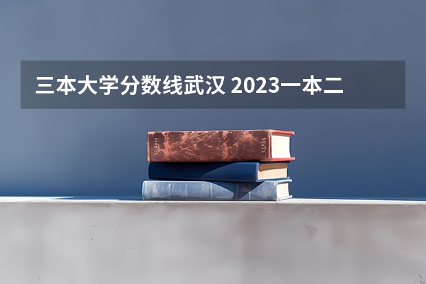 三本大学分数线武汉 2023一本二本三本的分数线湖北