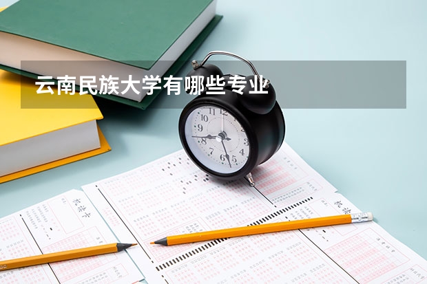 云南民族大学有哪些专业