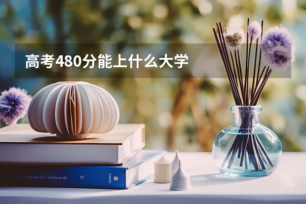 高考480分能上什么大学
