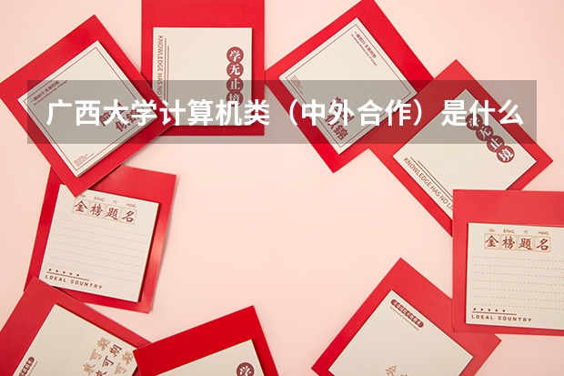 广西大学计算机类（中外合作）是什么，填志愿