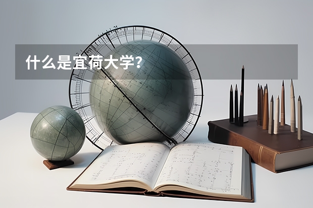什么是宜荷大学？