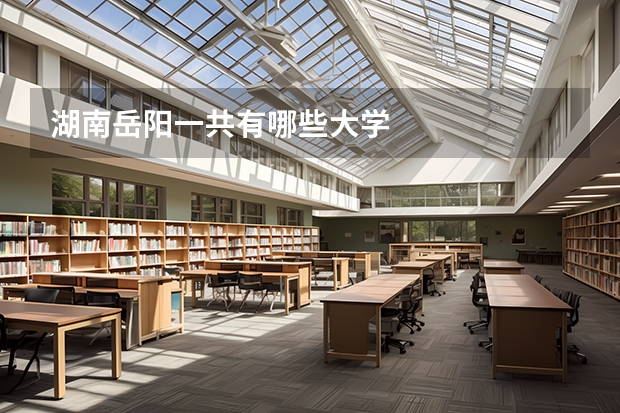 湖南岳阳一共有哪些大学