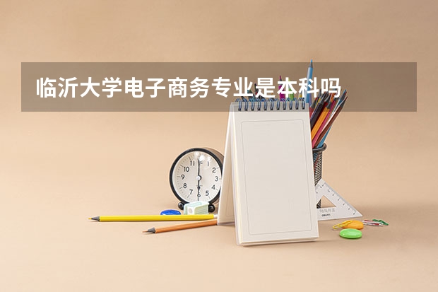 临沂大学电子商务专业是本科吗