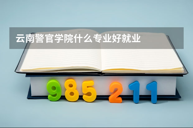 云南警官学院什么专业好就业