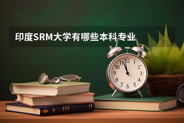 印度SRM大学有哪些本科专业