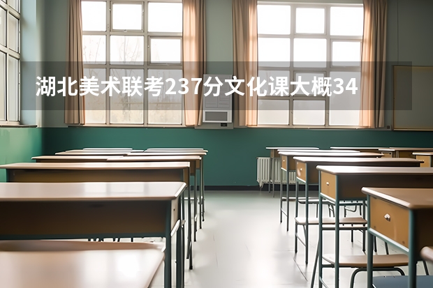 湖北美术联考237分文化课大概340来分能上什么大学啊最好是武汉的