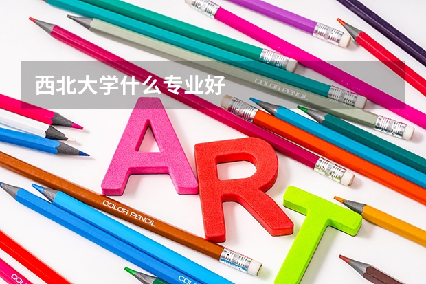 西北大学什么专业好