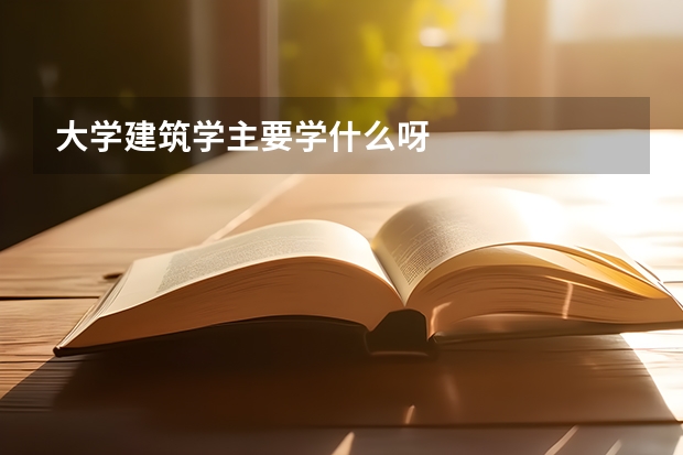 大学建筑学主要学什么呀