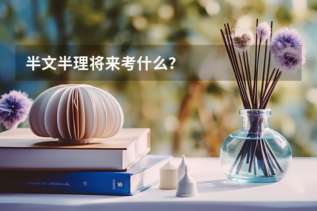 半文半理将来考什么?