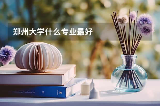 郑州大学什么专业最好