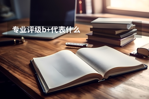 专业评级b+代表什么
