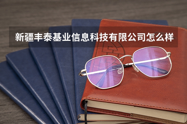 新疆丰泰基业信息科技有限公司怎么样？