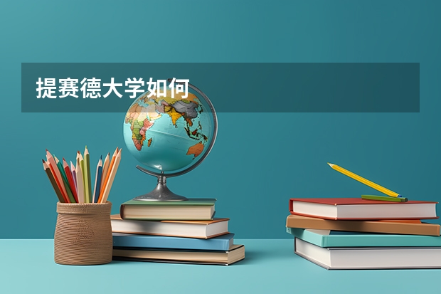 提赛德大学如何
