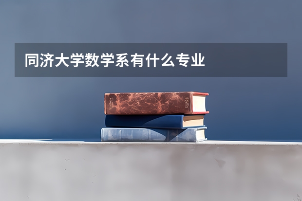 同济大学数学系有什么专业