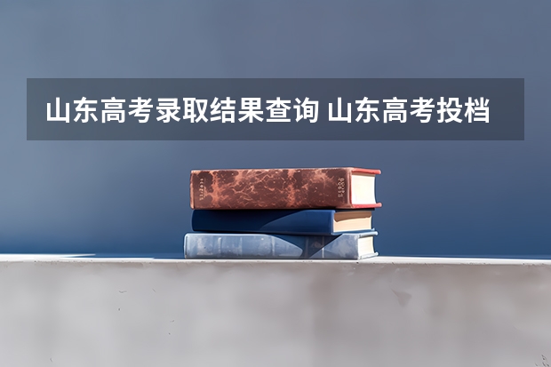 山东高考录取结果查询 山东高考投档线