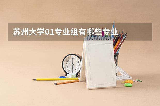 苏州大学01专业组有哪些专业