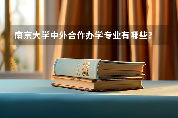 南京大学中外合作办学专业有哪些？